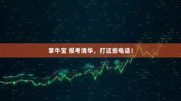 掌牛宝 报考清华，打这些电话！