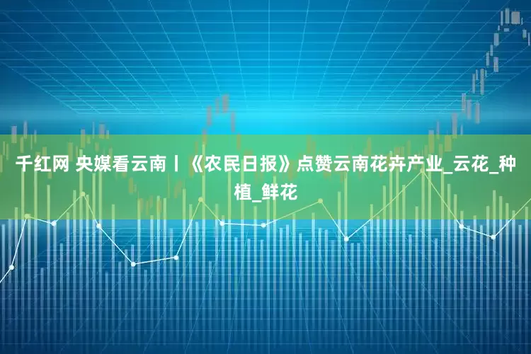千红网 央媒看云南丨《农民日报》点赞云南花卉产业_云花_种植_鲜花