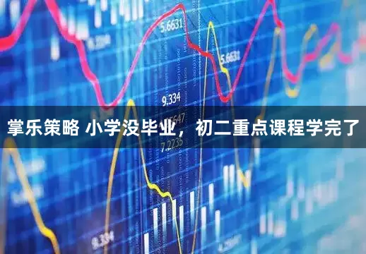 掌乐策略 小学没毕业，初二重点课程学完了