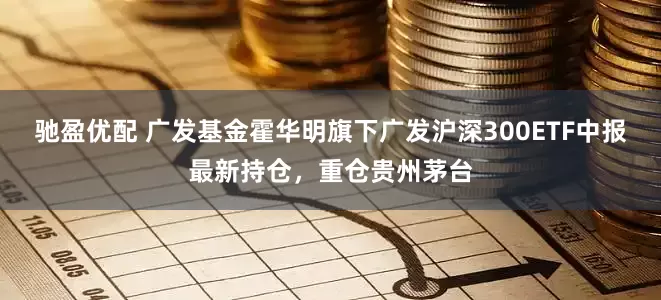 驰盈优配 广发基金霍华明旗下广发沪深300ETF中报最新持仓，重仓贵州茅台